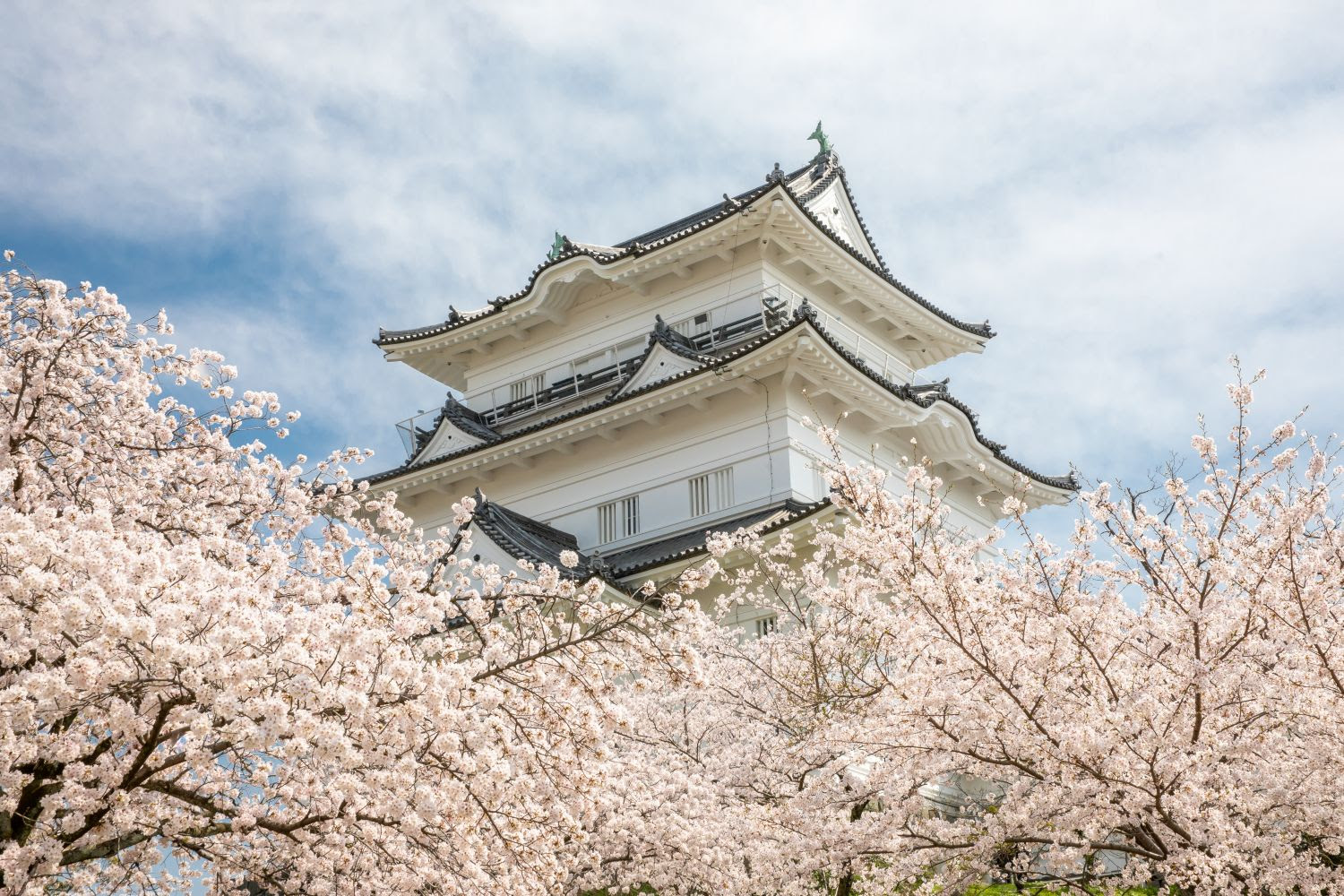 Online Fuma Ninja Training Experience in Odawara, Japan