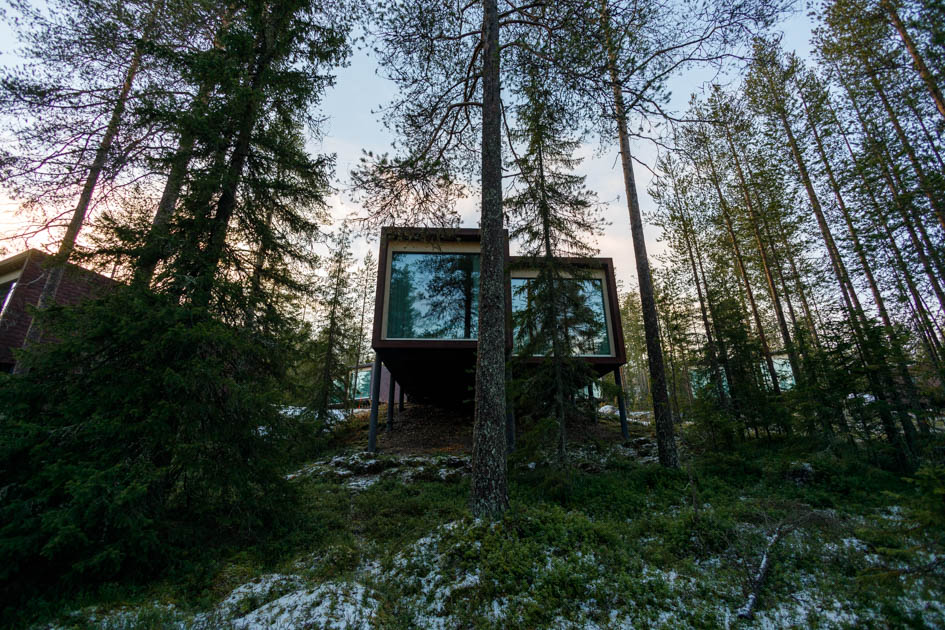 Outside view of Arctic Treehouse Hotel Room through the Forest